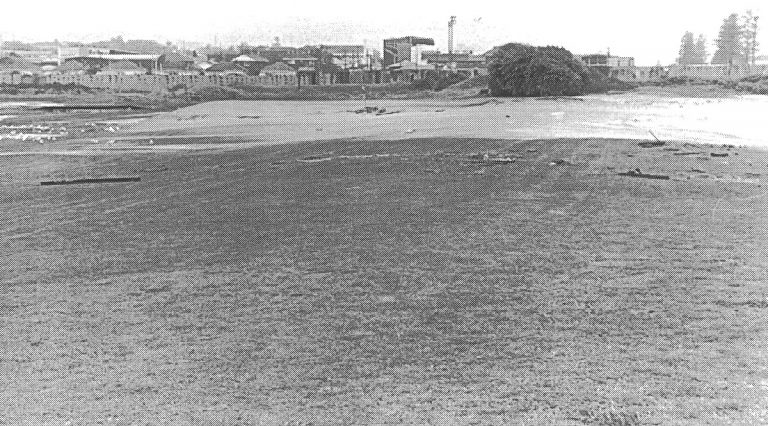 Cyclone Damage